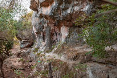 İsrail 'in kuzeyindeki Hayfa kenti yakınlarındaki Carmel ormanında kayaların tuhaf doğal kıvrımları.