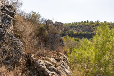 İsrail 'in kuzeyindeki Hayfa kenti yakınlarındaki Carmel ormanında kayaların tuhaf doğal kıvrımları.