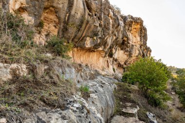 İsrail 'in kuzeyindeki Hayfa kenti yakınlarındaki Carmel ormanında kayaların tuhaf doğal kıvrımları.