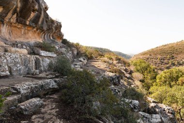 İsrail 'in kuzeyindeki Hayfa kenti yakınlarındaki Carmel ormanında kayaların tuhaf doğal kıvrımları.