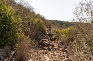 Bu patika, İsrail 'in kuzeyinde yer alan Hayfa yakınlarındaki Carmel Ormanı' ndaki bir dağın altından geçiyor.