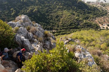 Haifa, Israel, November 19, 2022 : The Carmel forest near Haifa city in northern Israel