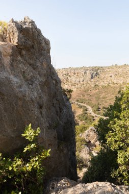 İsrail 'in kuzeyindeki Hayfa kenti yakınlarındaki Carmel ormanında kayaların tuhaf doğal kıvrımları.