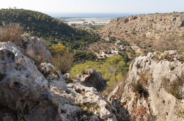 İsrail 'in kuzeyindeki Hayfa kenti yakınlarındaki Carmel ormanında kayaların tuhaf doğal kıvrımları.