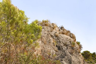 İsrail 'in kuzeyindeki Hayfa kenti yakınlarındaki Carmel ormanında kayaların tuhaf doğal kıvrımları.