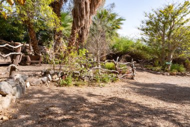 Eilat, Israel, December 13, 2022 : Wooden decorative fence in the Botanical Garden in the Eilat city, southern Israel