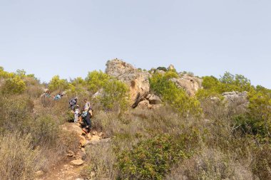 Haifa, Israel, November 19, 2022 : The Carmel forest near Haifa city in northern Israel