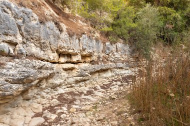 İsrail 'in kuzeyindeki Hayfa kenti yakınlarındaki Carmel ormanında kayaların tuhaf doğal kıvrımları.
