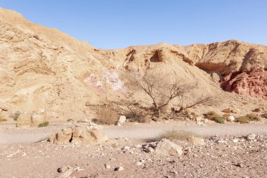 The dried up river bed - the path to the Red Canyon, in the national reserve - the Red Canyon in the rays of the setting sun, near the city of Eilat, in southern Israel.