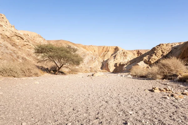 The dried up river bed - the path to the Red Canyon, in the national reserve - the Red Canyon in the rays of the setting sun, near the city of Eilat, in southern Israel.