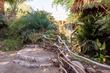 Eilat, Israel, December 13, 2022 : Small decorative waterfall on the territory of the Botanical Garden in the Eilat city, southern Israel