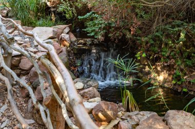 Eilat, Israel, December 13, 2022 : Small decorative waterfall on the territory of the Botanical Garden in the Eilat city, southern Israel