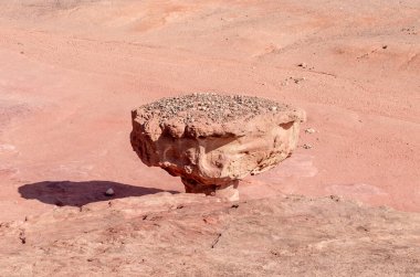 Mushroom rock, a rock formed by the erosion of red sandstone in the national park Timna, near the city of Eilat, in southern Israel