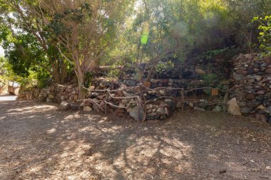 Eilat, İsrail, 13 Aralık 2022: İsrail 'in güneyindeki Eilat şehrindeki süslü botanik bahçesinden geçen yürüyüş yolu