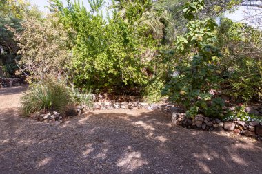 Eilat, İsrail, 13 Aralık 2022: İsrail 'in güneyindeki Eilat şehrindeki süslü botanik bahçesinden geçen yürüyüş yolu