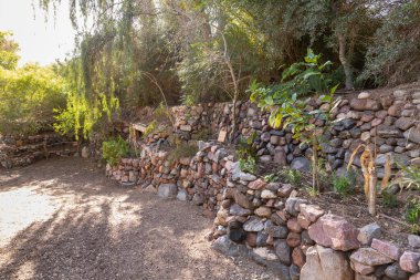 Eilat, İsrail, 13 Aralık 2022: İsrail 'in güneyindeki Eilat şehrindeki süslü botanik bahçesinden geçen yürüyüş yolu