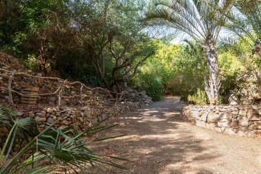 Eilat, İsrail, 13 Aralık 2022: İsrail 'in güneyindeki Eilat şehrindeki süslü botanik bahçesinden geçen yürüyüş yolu