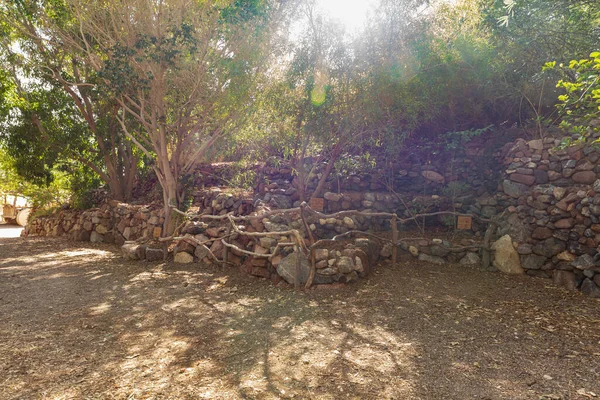 Eilat, İsrail, 13 Aralık 2022: İsrail 'in güneyindeki Eilat şehrindeki süslü botanik bahçesinden geçen yürüyüş yolu