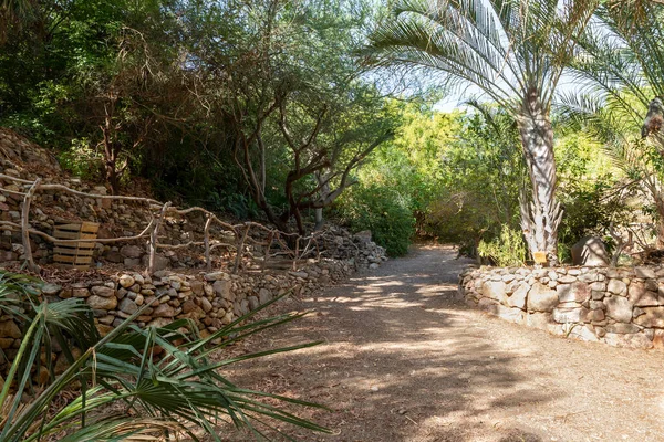 Eilat, İsrail, 13 Aralık 2022: İsrail 'in güneyindeki Eilat şehrindeki süslü botanik bahçesinden geçen yürüyüş yolu