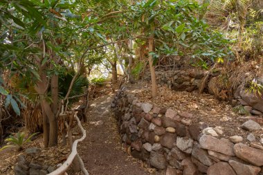 Eilat, İsrail, 13 Aralık 2022: İsrail 'in güneyindeki Eilat şehrindeki süslü botanik bahçesinden geçen yürüyüş yolu