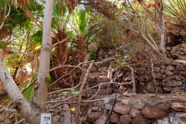 Eilat, İsrail, 13 Aralık 2022: İsrail 'in güneyindeki Eilat şehrindeki Botanik Bahçesi' nde tahta bir çitle çevrili taş adımlar