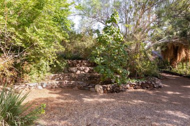 Eilat, İsrail, 13 Aralık 2022: İsrail 'in güneyindeki Eilat şehrindeki süslü botanik bahçesinden geçen yürüyüş yolu