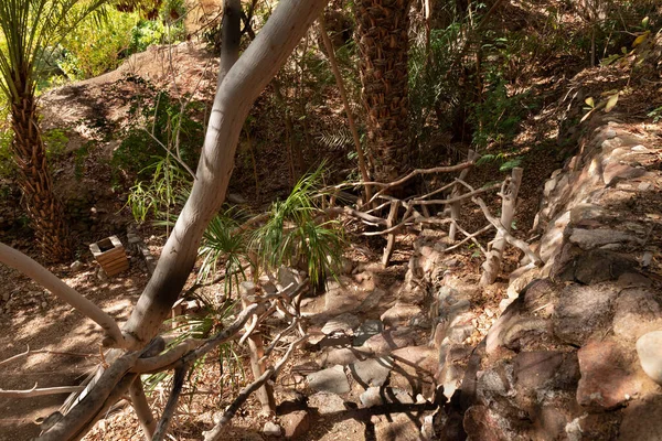 이스라엘에 2022 이스라엘 남부에 에일라 트시에 식물원의 구역에 나무망치 울타리를 — 스톡 사진