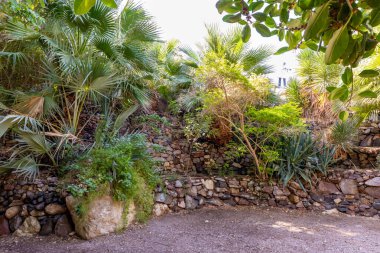 Eilat, İsrail, 13 Aralık 2022: İsrail 'in güneyindeki Eilat şehrindeki süslü botanik bahçesinden geçen yürüyüş yolu