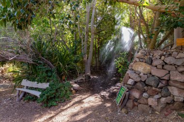 Eilat, İsrail, 13 Aralık 2022: İsrail 'in güneyindeki Eilat şehrindeki süslü botanik bahçesinden geçen yürüyüş yolu