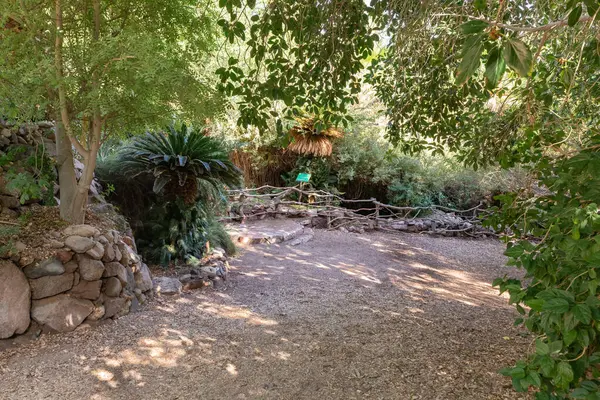 stock image Eilat, Israel, December 13, 2022 : Walkway passing through the ornate Botanical Garden in Eilat city, southern Israel