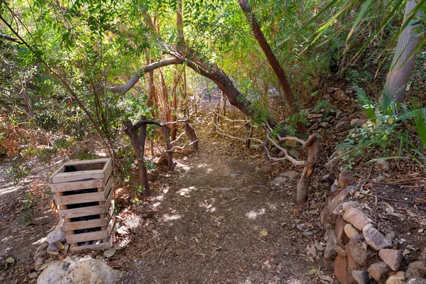 Eilat Israele Dicembre 2022 Passerella Che Attraversa Orto Botanico Ornato — Foto Stock