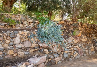 Eilat, İsrail, 13 Aralık 2022: İsrail 'in güneyindeki Eilat kentindeki Botanik Bahçesi' nde sergilenen taş kaplı teraslar