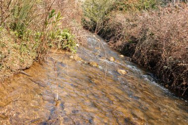 İsrail 'in kuzeyindeki Metula kenti yakınlarındaki Celile' deki hızlı, sığ, soğuk Ayun nehri.