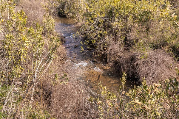 Der Schnelle Flache Kalte Gebirgsfluss Ayun Galiläa Der Nähe Der — Stockfoto
