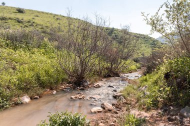 Tavor Nehri 'nin dar ama tam akmayan yatağı. Celile' de, Afula şehrinin yakınında, kuzey İsrail 'de..