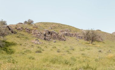 Şaşırtıcı, güzel ve görkemli doğa Tavor nehrinin kıyısında, Celile 'de, Afula şehrinin yakınında, kuzey İsrail' de..