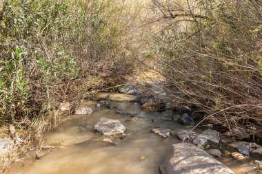 Tavor Nehri 'nin dar ama tam akmayan yatağı. Celile' de, Afula şehrinin yakınında, kuzey İsrail 'de..