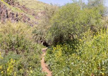 Yürüyüş yolu İsrail 'in kuzeyindeki Afula şehrinin yakınlarındaki Celile' de Tabor nehrinin yanından geçiyor..