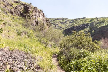 Yürüyüş yolu İsrail 'in kuzeyindeki Afula şehrinin yakınlarındaki Celile' de Tabor nehrinin yanından geçiyor..