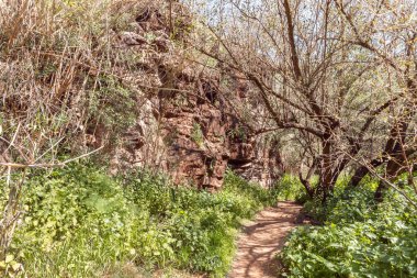 Yürüyüş yolu İsrail 'in kuzeyindeki Afula şehrinin yakınlarındaki Celile' de Tabor nehrinin yanından geçiyor..