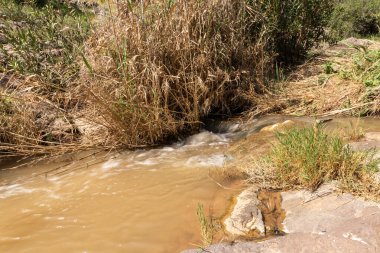 Tavor Nehri 'nin dar ama tam akmayan yatağı. Celile' de, Afula şehrinin yakınında, kuzey İsrail 'de..