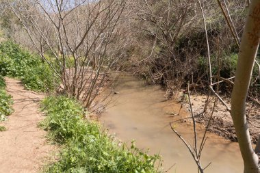Tavor Nehri 'nin dar ama tam akmayan yatağı. Celile' de, Afula şehrinin yakınında, kuzey İsrail 'de..