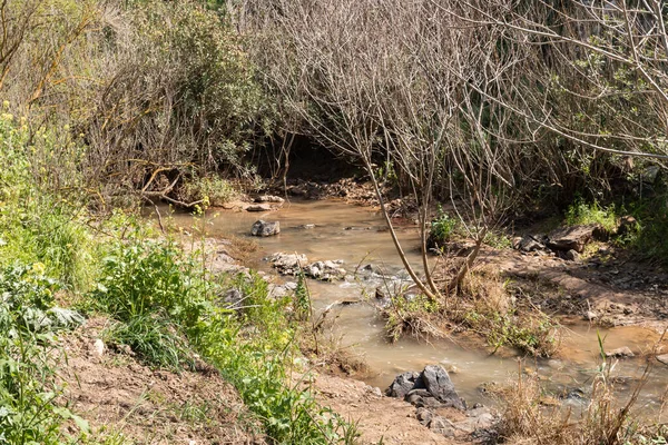 Tavor Nehri 'nin dar ama tam akmayan yatağı. Celile' de, Afula şehrinin yakınında, kuzey İsrail 'de..