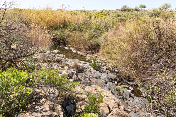 Zavitan Deresi Srail Kuzeyindeki Yehudia Ulusal Doğal Parkı Akar — Stok fotoğraf