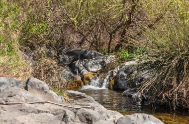 Zavitan deresindeki küçük şelale İsrail 'in kuzeyindeki Yehudia Ulusal Doğal Parkı' na akar.