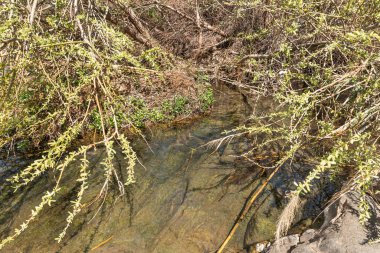 Zavitan deresi İsrail 'in kuzeyindeki Yehudia Ulusal Doğal Parkı' na akar.