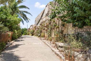 Zikhron Yaakov, İsrail, 08 Temmuz 2023: Üzerinde çiçek saksılarıyla süslenmiş ev duvarı, İsrail 'in kuzeyindeki Zikhron Yaakov kentindeki ana yaya Hameyasdim yakınlarında yer alıyor.