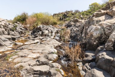 Zavitan deresi İsrail 'in kuzeyindeki Yehudia Ulusal Doğal Parkı' na akar.