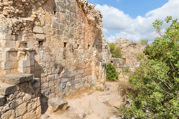 stock image The wall of the Great Hall in the ruins of the courtyard of the residence of the Grand Masters of the Teutonic Order in the ruins of the castle of the Crusader fortress located in the Upper Galilee in northern Israel