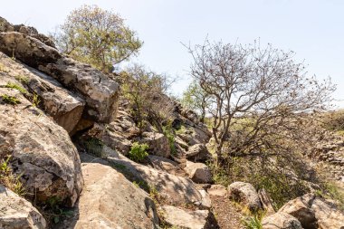 Kuzey İsrail 'deki Yehudia Ulusal Doğal Parkı' nın görkemli doğası